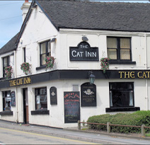 Cat Inn